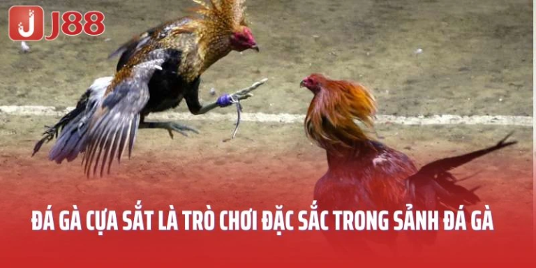 Maximize Your Profits with J88 Cockfighting: Expert Betting Tips